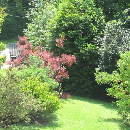 Joubarbe Apartment *