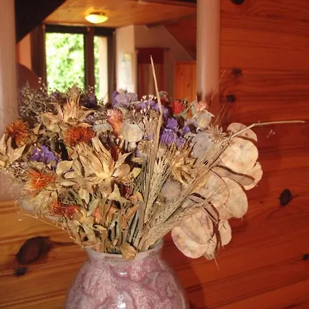 Apartamento Joubarbe *